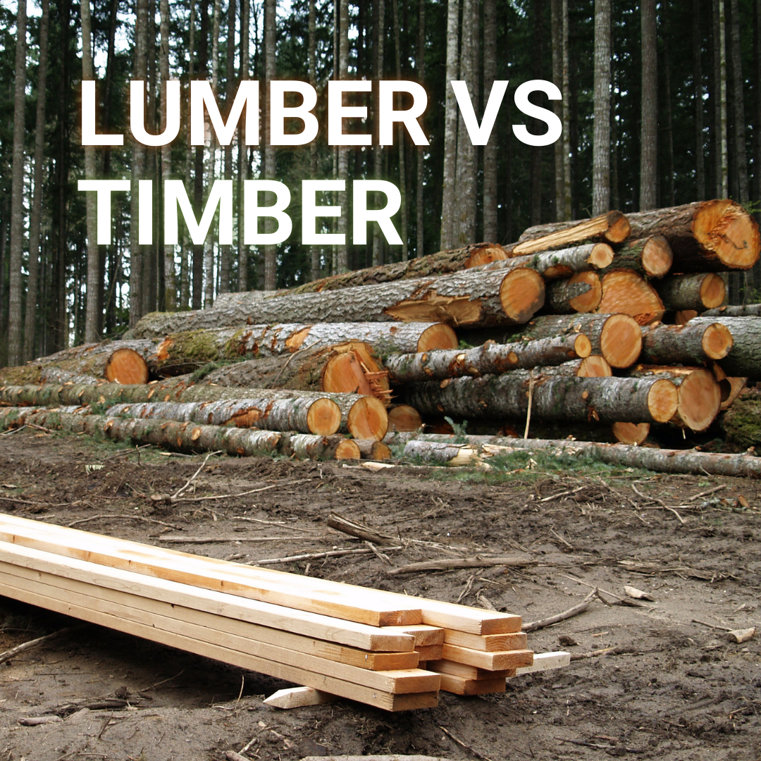 <span style="font-family: Calibri, sans-serif; font-size: 11pt;">Lockdowns
from the pandemic have led to some unexpected economic consequences, one of
which has been a surge in lumber prices.</span>